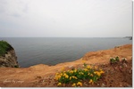 080607kasa2.jpg
