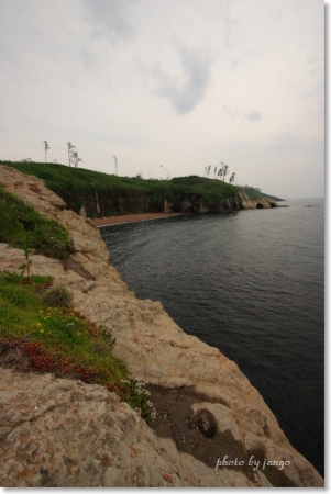 080607kasa3.jpg